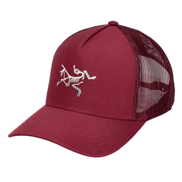 Arc'teryx VINTAGE Dark Wonderland Polychrome Logo Trucker Cap NWOT - Picture 2 of 8